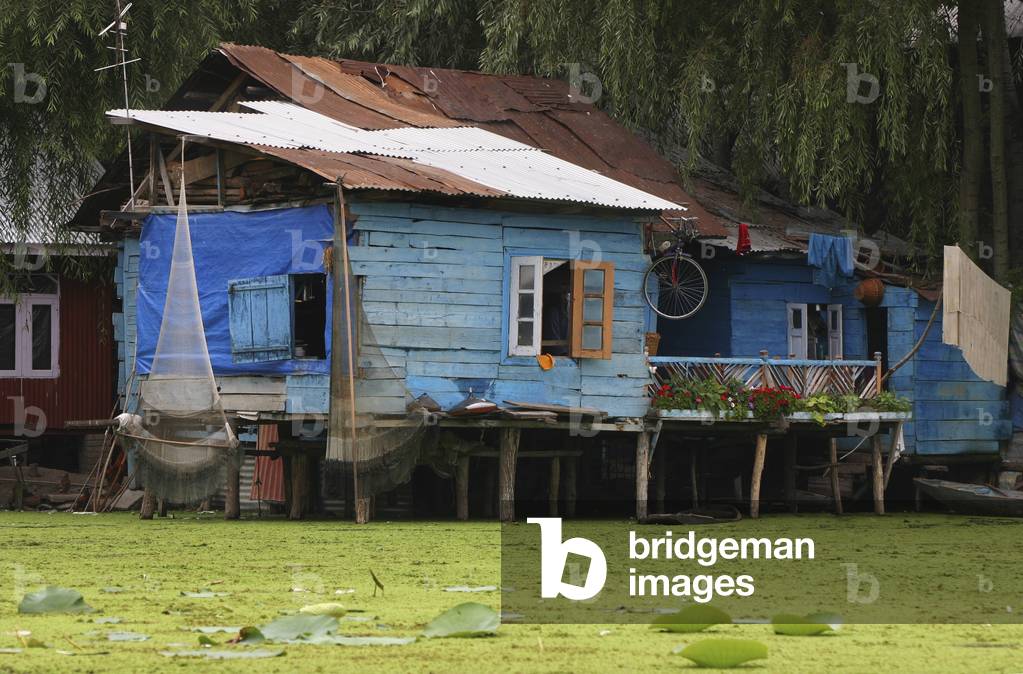 Wooden Shanty (photo)
