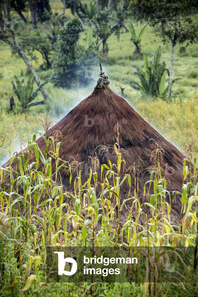 Straw roofed hut, Ethiopia (photo)