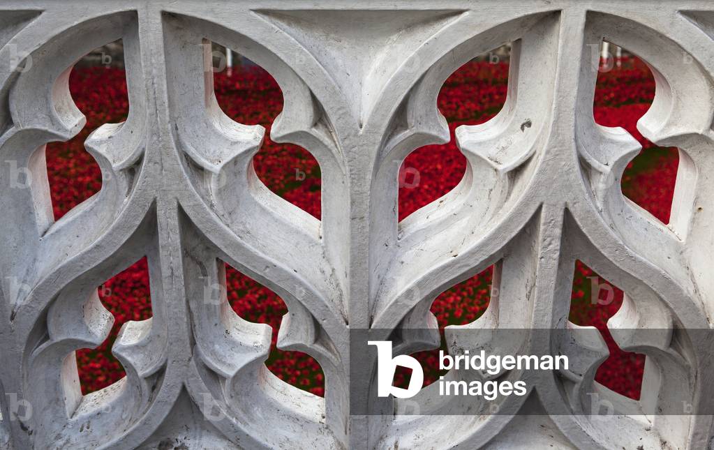 Ceramic poppies comemorating the fallen UK and Commonwealth soldiers of the First World War, 2014, Tower of London, London, England, UK  (photo)