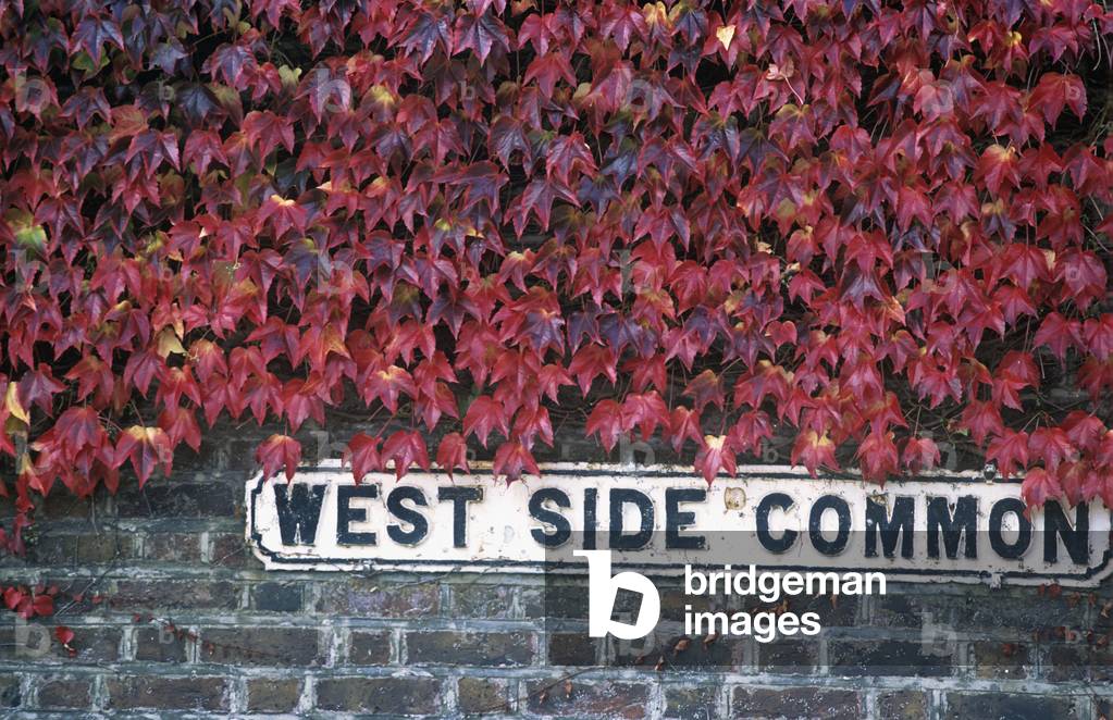 West Side Common, Wimbledon, London, England, UK (photo)