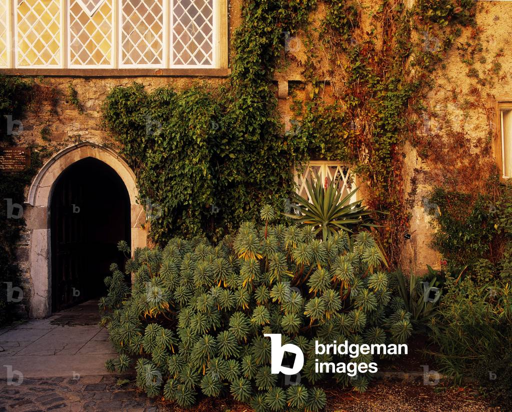 Malahide Castle, Talbot Botanic Garden, Malahide, Co Fingal, Ireland (photo)