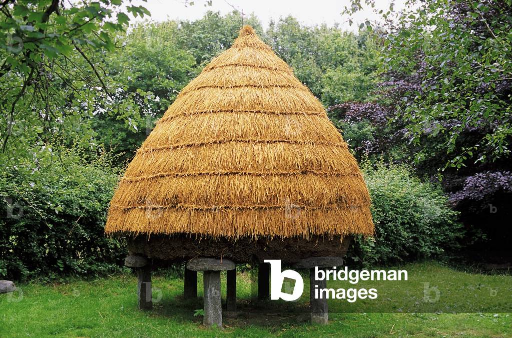 Traditional Framing, Co Clare, Ireland, Cock Of Hay (photo)