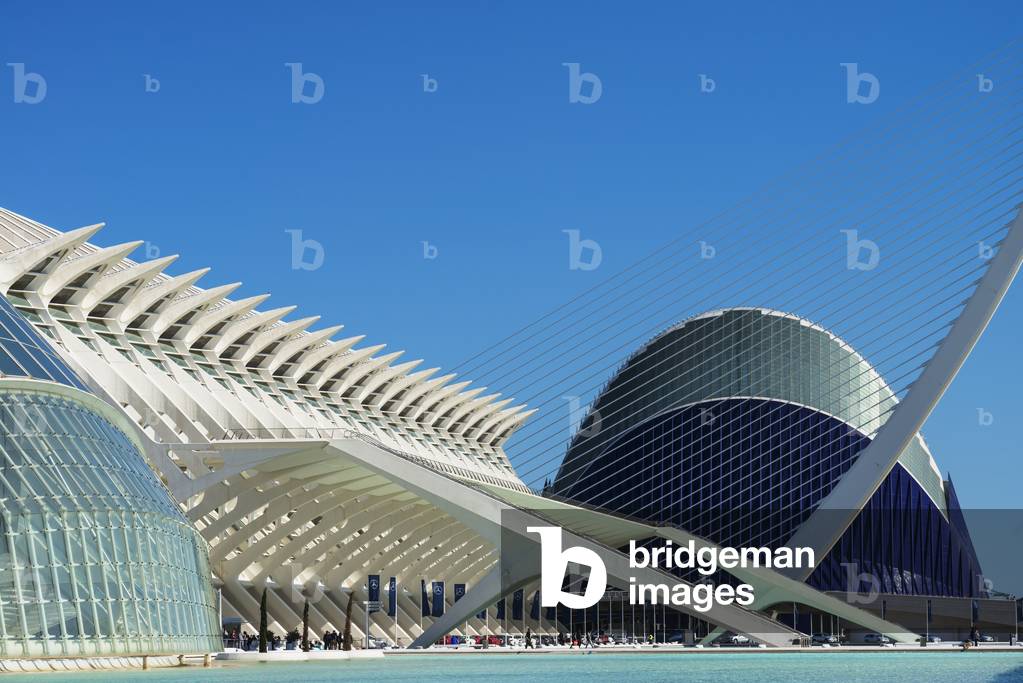 Detail of El Museu De Les Ciencies Principe Felipe with El Pont De L'assut De L'or and L'agora on Right in City of Arts and Sciences, Valencia, Spain (photo)