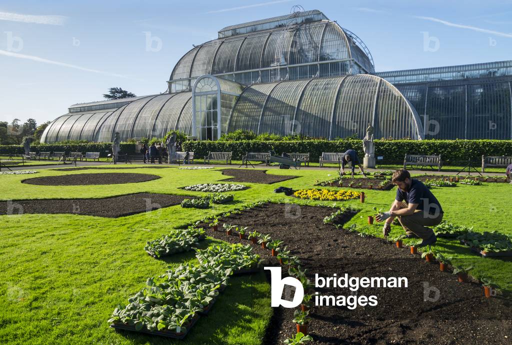 Palm House, Kew Gardens, London, England, UK  (photo)