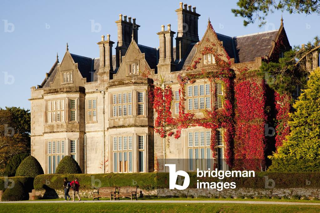 Red Ivy Growing On The Side Of Muckross House; Killarney, County Kerry, Ireland (photo)