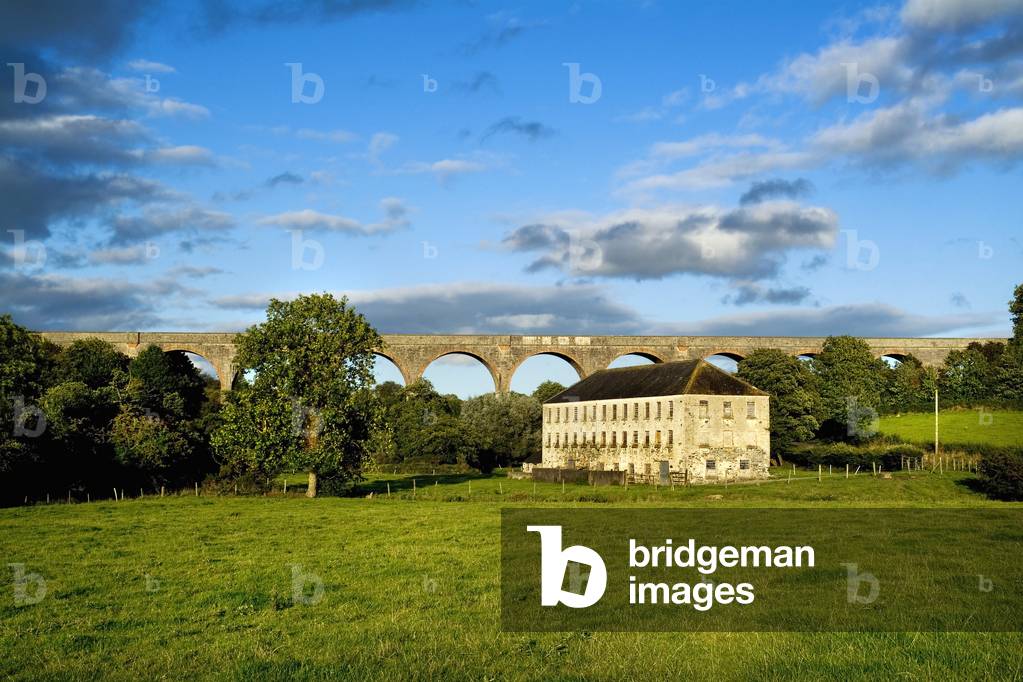 Trassagh Viaduck, Co. Armagh, Ireland (photo)