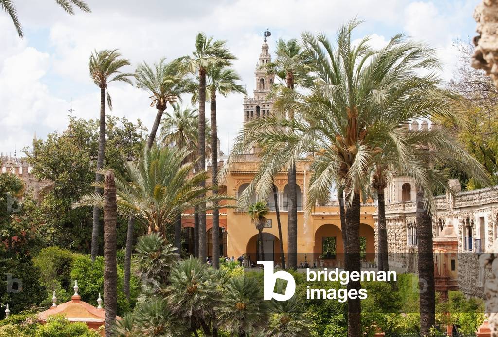 Bell Tower of Seville Cathedral, View From Royal Alcazar Gardens, Seville, Andalucia, Spain (photo)