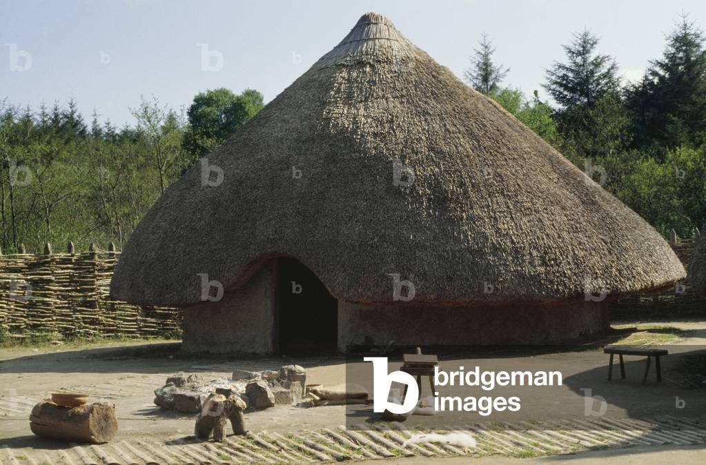 Co Clare, Craggaunowen Projekt (photo)