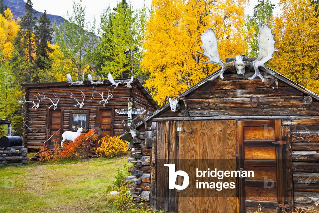Rustic cabins at Ellis' Devil Mountain Lodge at the end of Nabesna Road, Wrangell-St, Elias National Park & Preserve, Southcentral Alaska, Autumn (photo)
