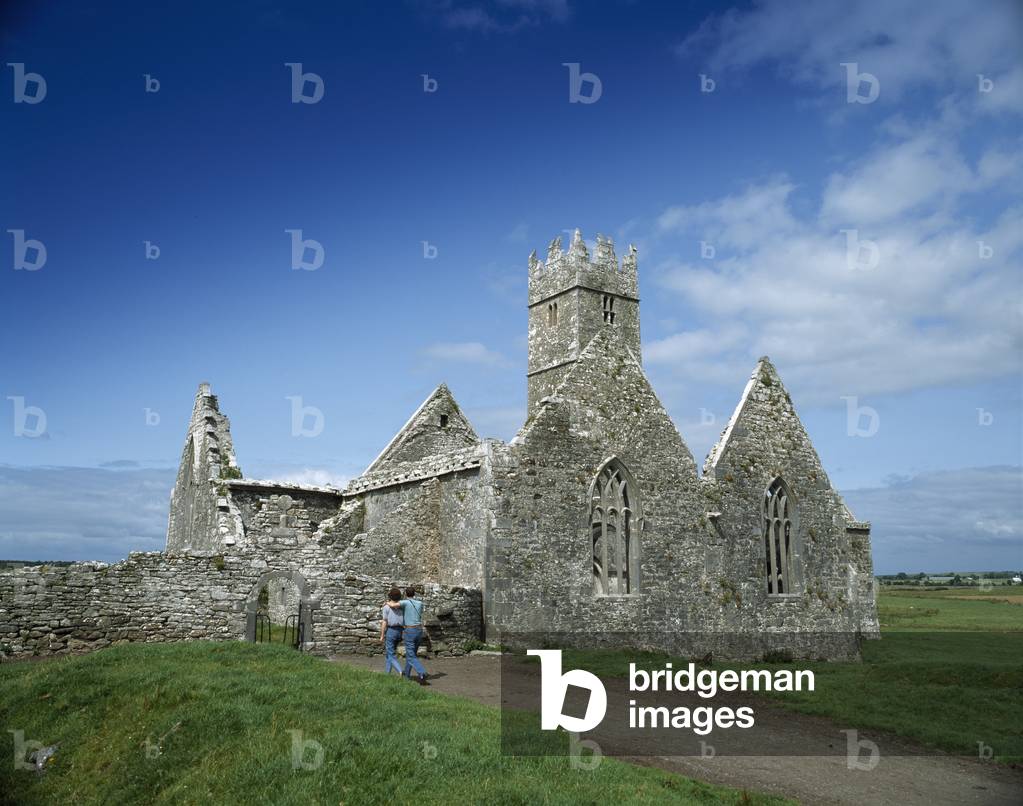 Ruins, Ireland (photo)