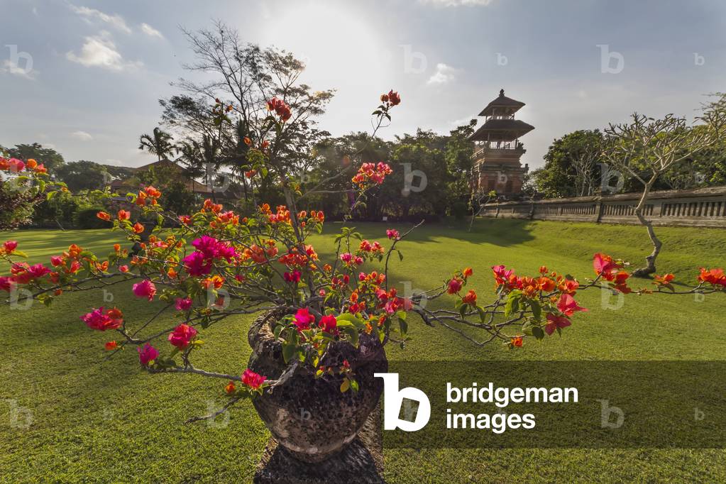 Bougainvillea by the outer wall of the Royal Water Temple Pura Taman Ayun, Mengwi, Bali, Indonesia (photo)