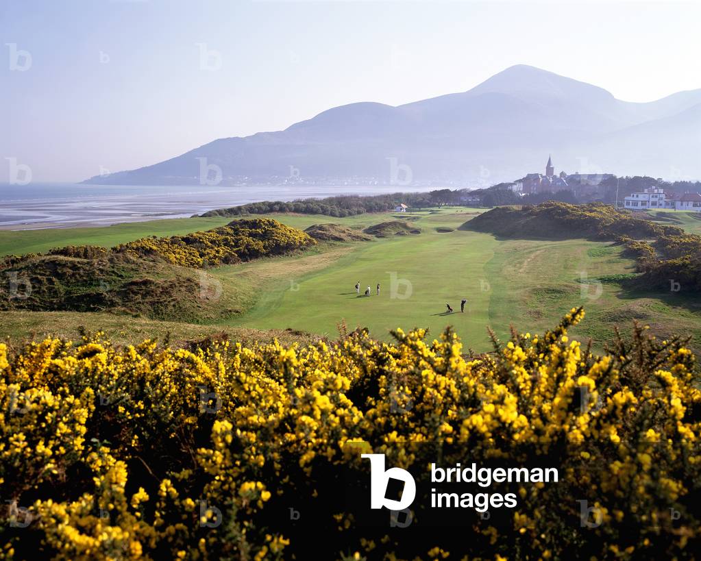 High Angle View Of A Golf Course, Royal County Down Golf Club, Newcastle, County Down, Northern Ireland (photo)