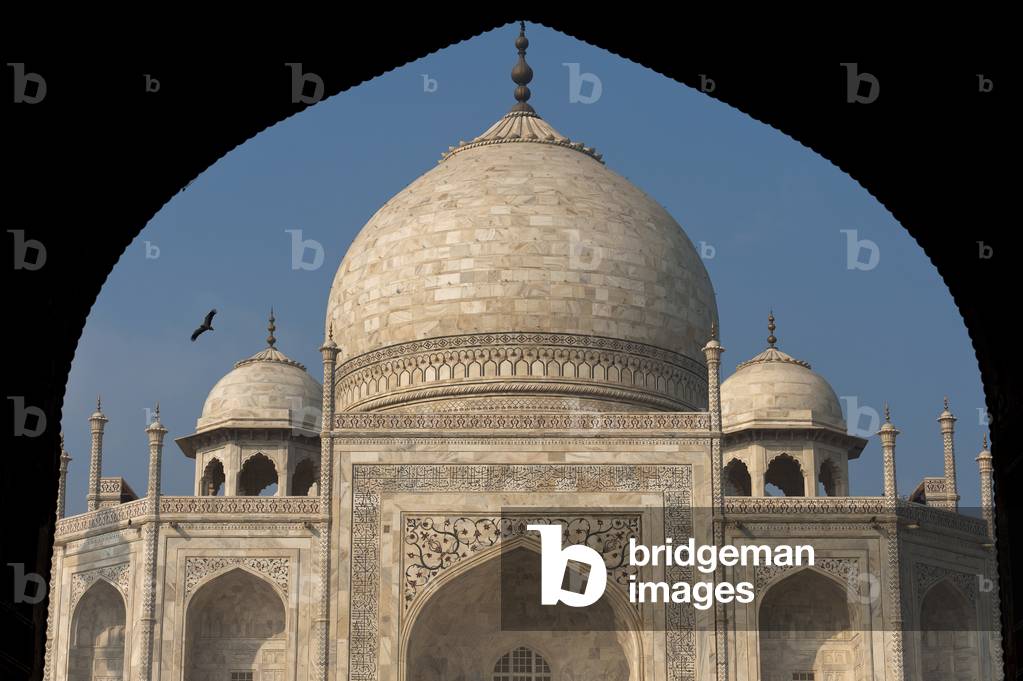 Detail of the Taj Mahal, Agra, India (photo)