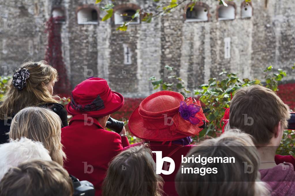 People gather at the Tower of London, 2014, London, England, UK  (photo)