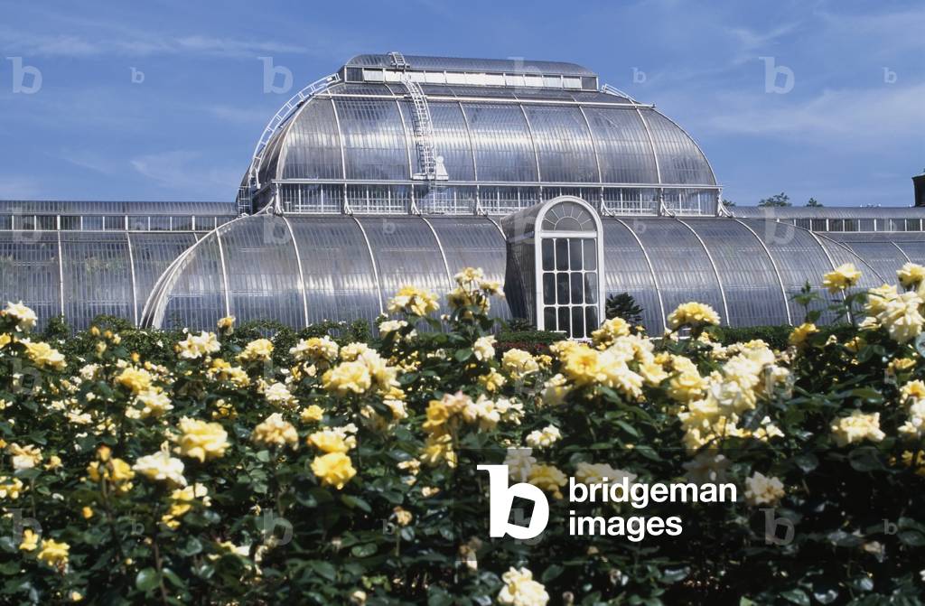 Royal Botanic Gardens, London, England, UK (photo)