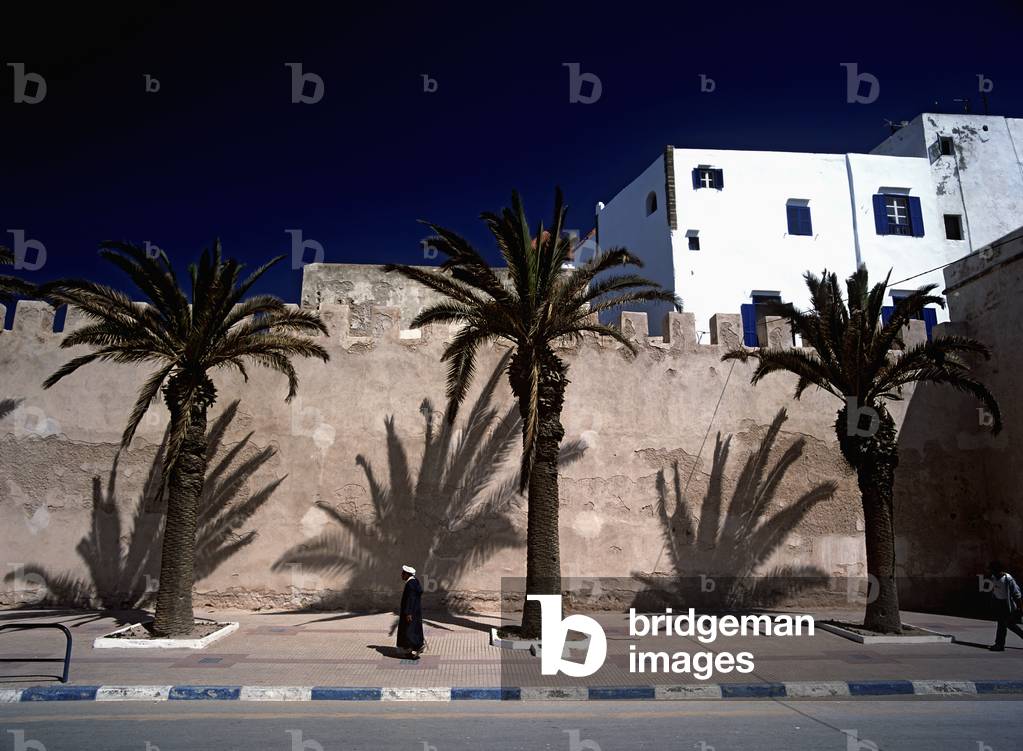 Pedestrian, Date Palms  and City Walls, Essaouira, Morocco (photo)