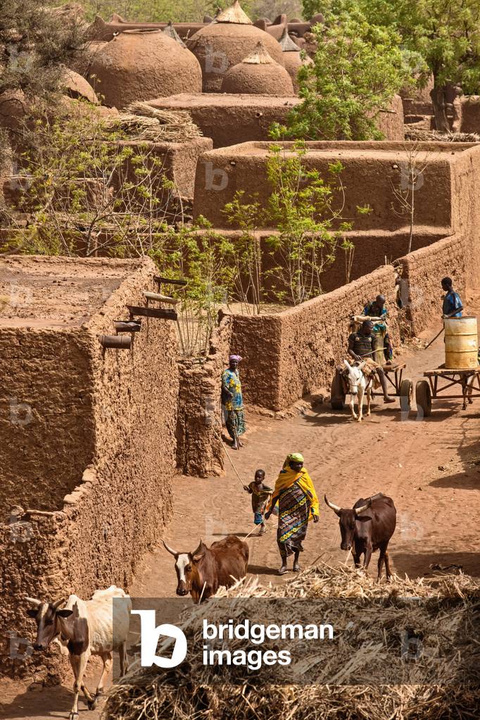 Niger, Tahoa Region, from rooftop of its World famours Friday Mosque built 1962-1982 by Master builder El Hadji Falke Barmou, Yaama Village, Aerial view of Yaama Village (photo)