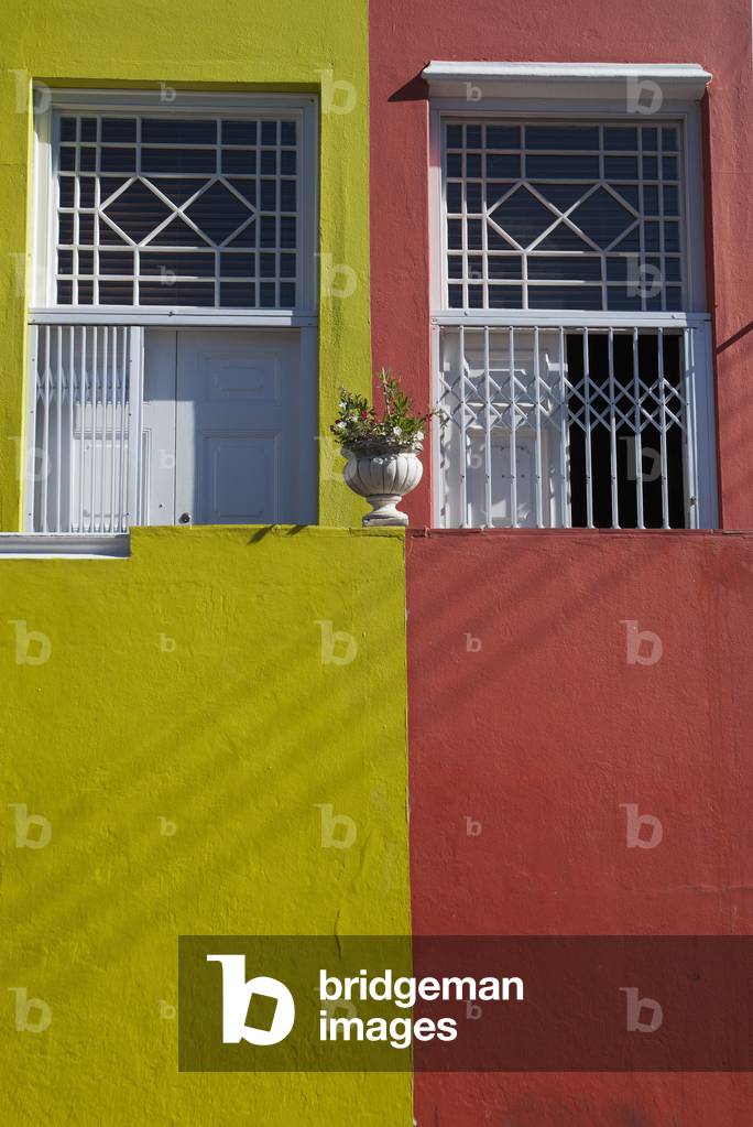 Front doors of multi-hued houses on Wale Street, Cape Town, South Africa (photo)