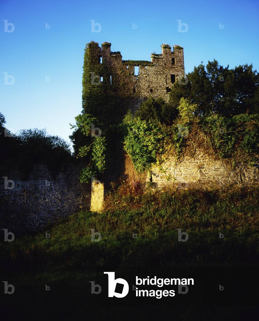 Co Limerick, Desmond Castle, Ardare (photo)