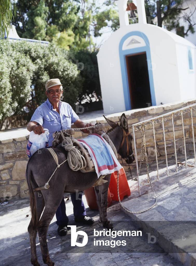 Man Going Up Steps with Donkey (photo)