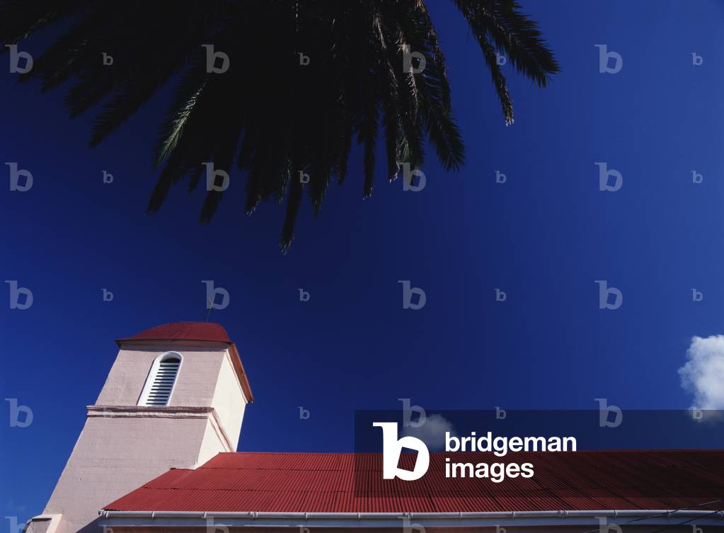 Tyrells Catholic Church  and Date Palm, Antigua (photo)