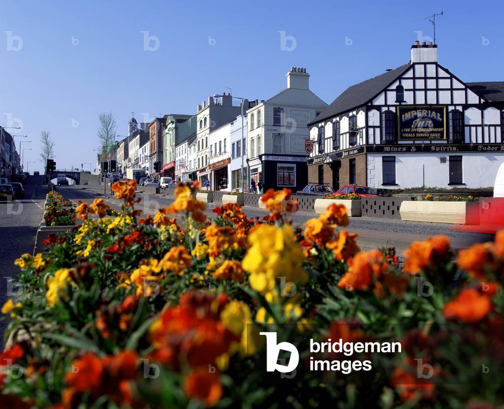 Banbridge, Co. Down, Ireland (photo)