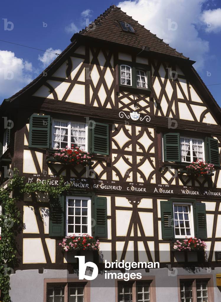 Black Forest, Oberkirch. (photo)