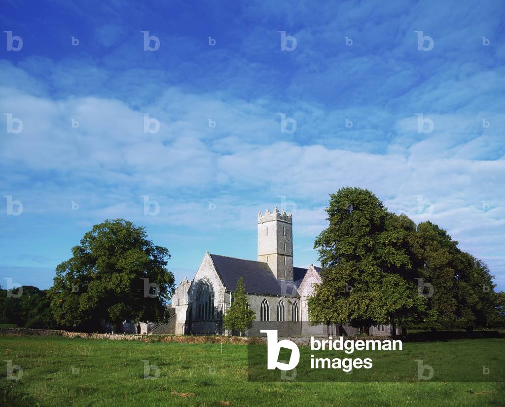 Adare, Co Limerick, Ireland; Medieval Abbey (photo)