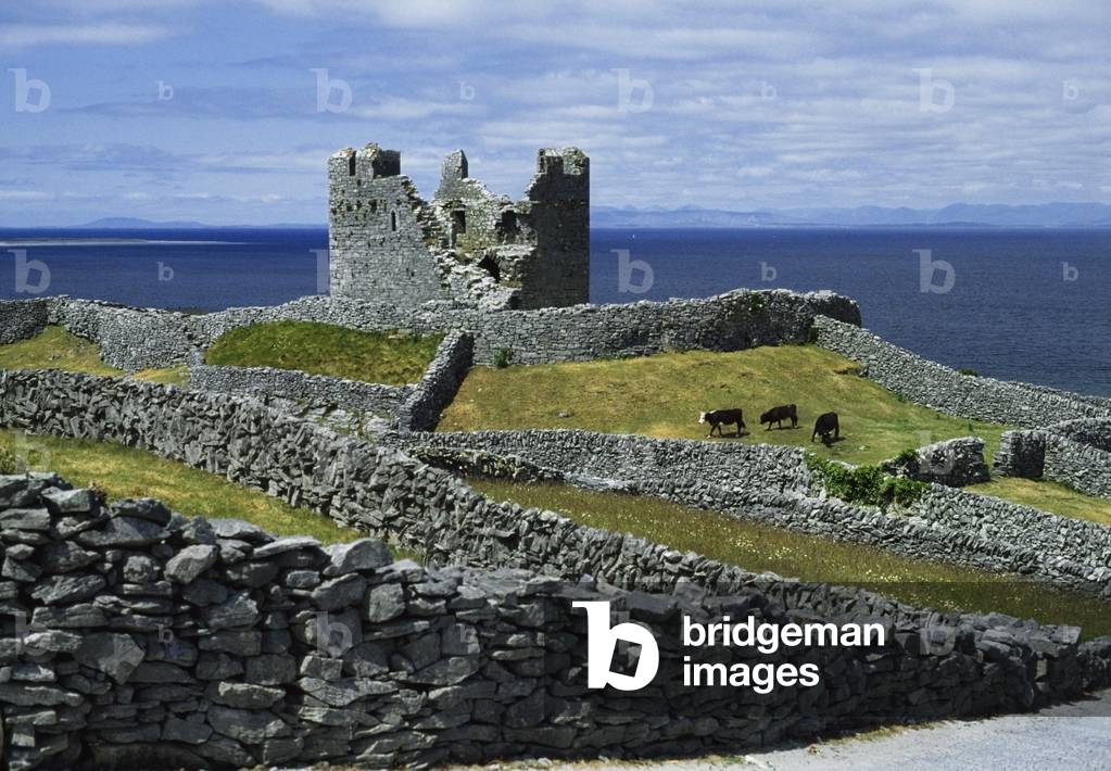 Inisheer, Aran Islands, Co Galway, Ireland; O'brien Castle (photo)