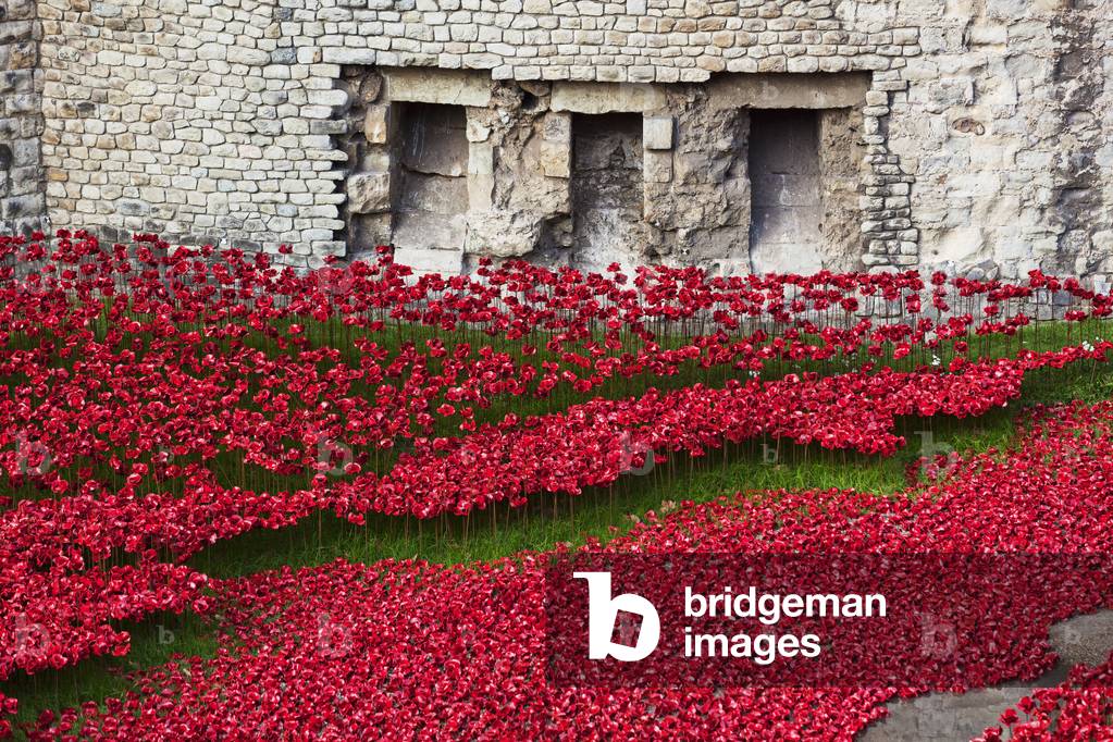 Ceramic poppies comemorating the fallen UK and Commonwealth soldiers of the First World War, 2014, Tower of London, London, England, UK  (photo)