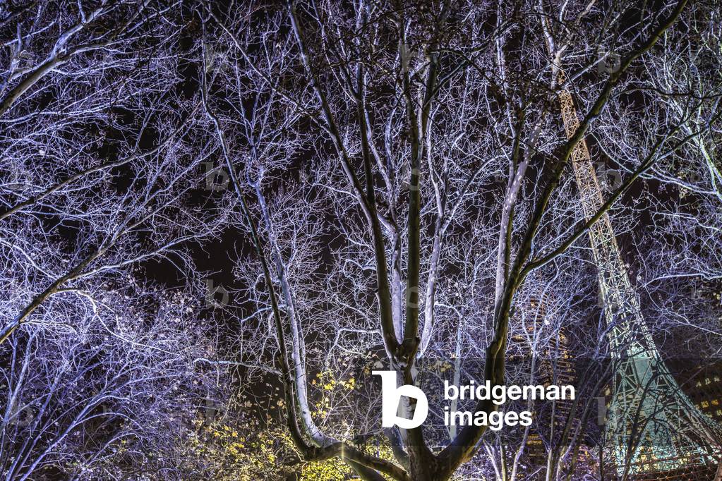 Australia, Victoria, Bare tree in front of Melbourne Arts centre, Melbourne (photo)