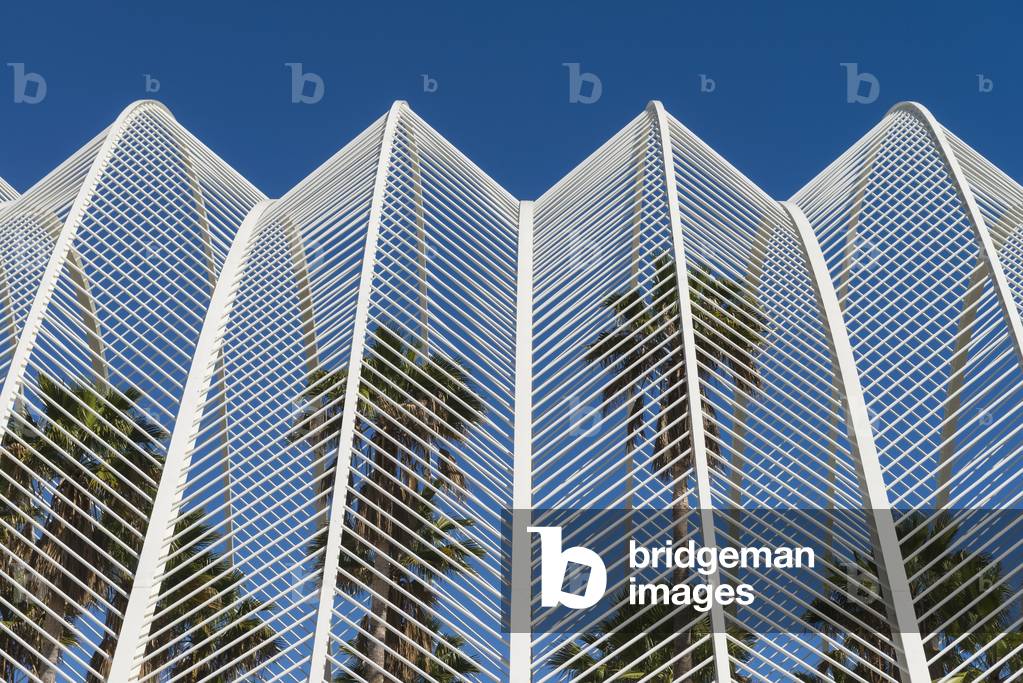 View of Umbracle and Palm Trees in Ciudad De Las Artes Y Las Ciencias (City of Arts and Sciences), Valencia, Spain (photo)