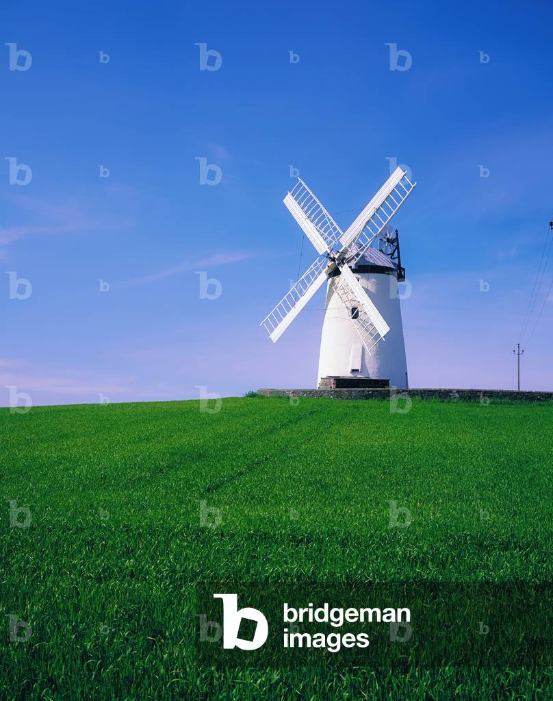 Ballycopeland Windmill, Millisle, County Down, Ireland (photo)