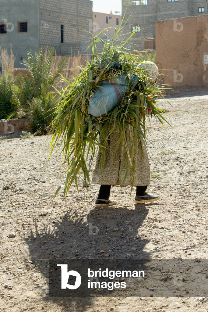 A Peson carrying a Large Pile of Leaves, Morocco (photo)