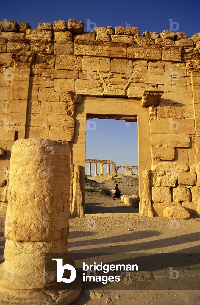 Syria, Part of Agora at Main Site, Palmrya (photo)