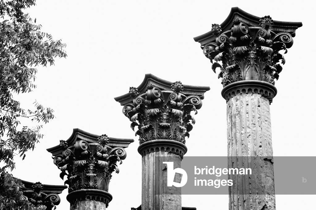 USA, Columns in Windsor Ruins, Mississippi (photo)