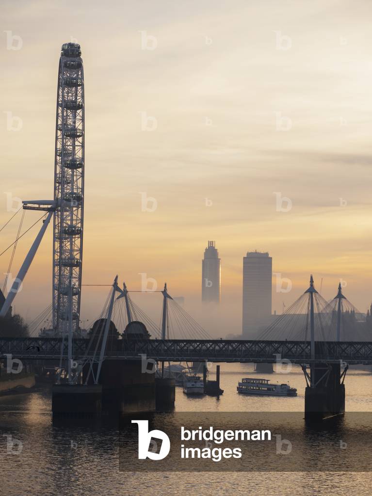 Millenium Wheel at sunset, London, England, UK  (photo)