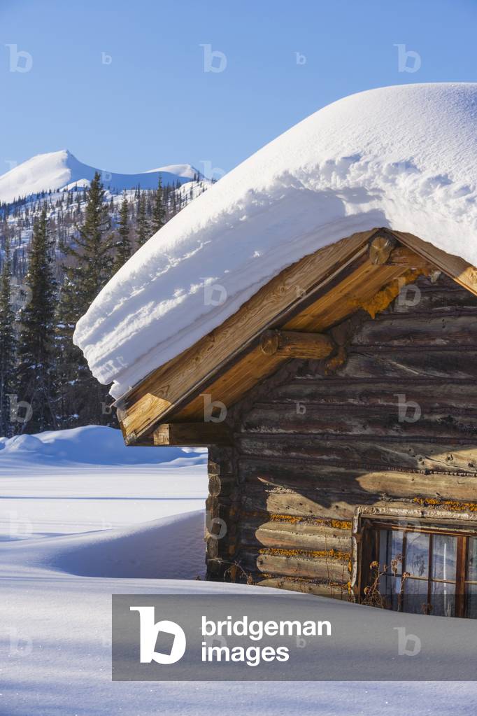 Snow load on a log cabin roof in Wiseman, Arctic Alaska (photo)