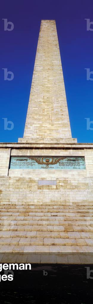 Dublin City, Wellington Memorial (photo)