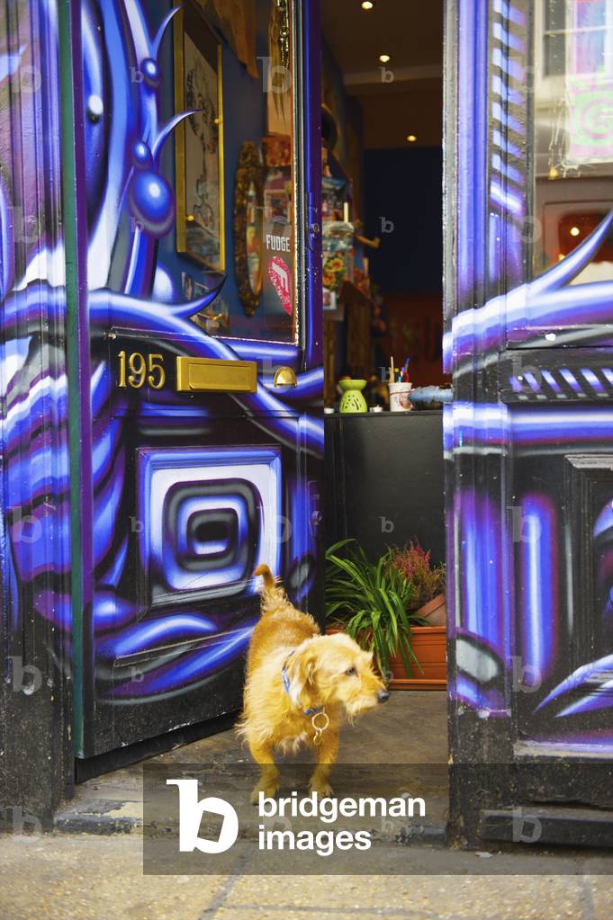 A dog stands in the open doorway of a shop, Portobello Road Market, London, England, UK  (photo)
