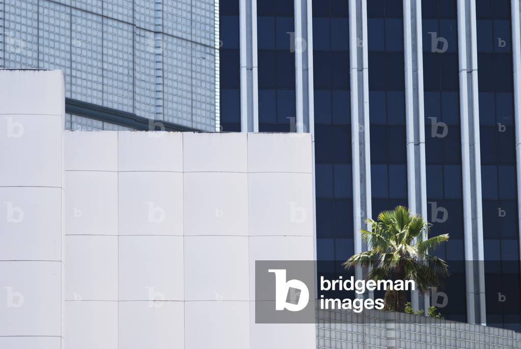 LACMA museum, Los Angeles, California, United States (photo)