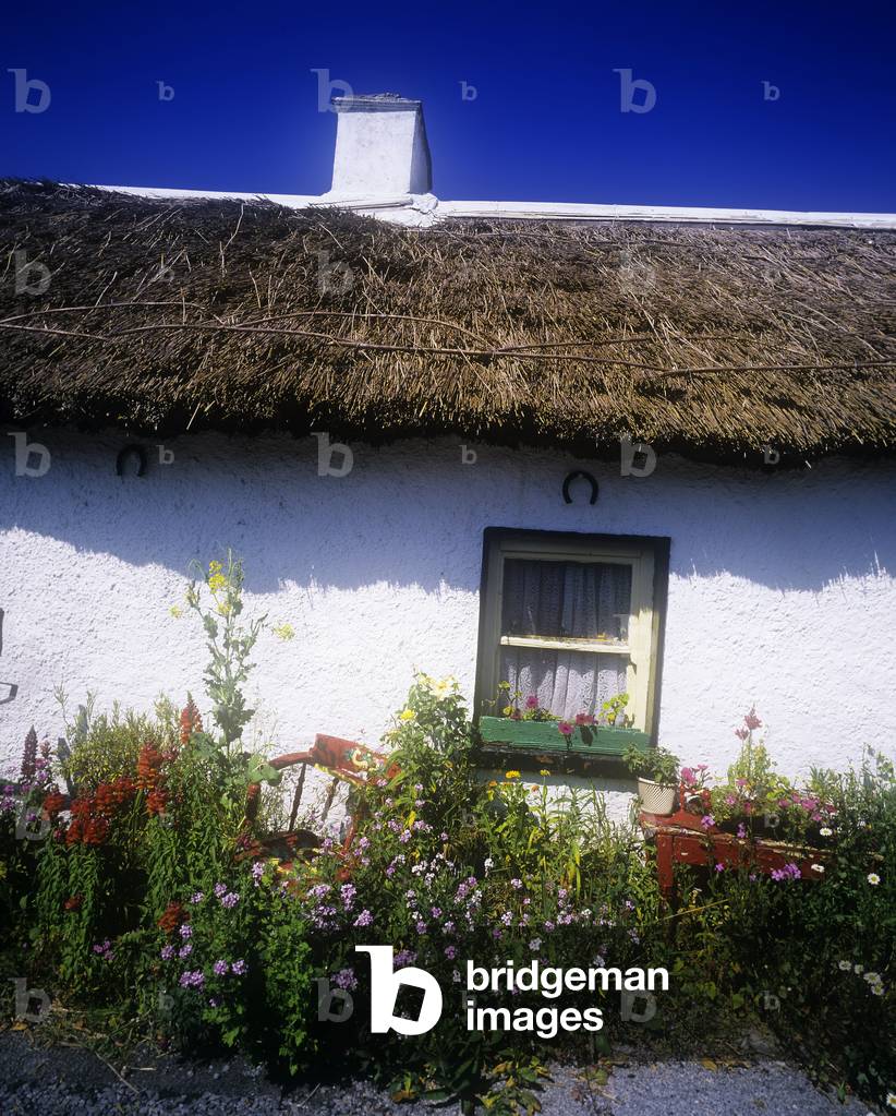 Flower Bed In Front Of A Cottage, Kilmore West, Dublin, Republic Of Ireland (photo)