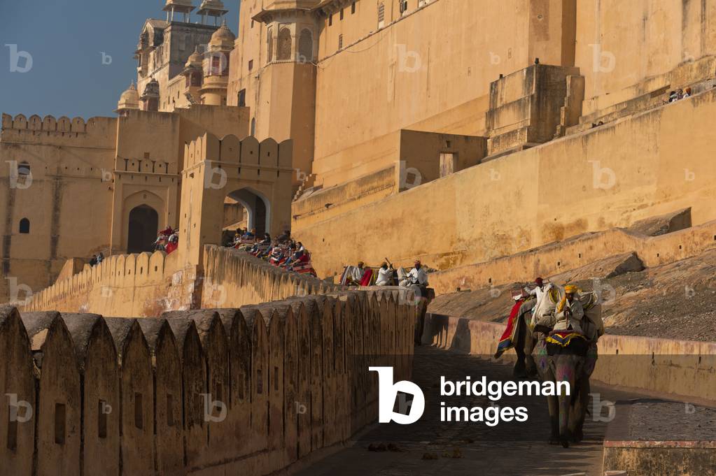 Elephants going up and down path to Amber Fort, Amer, Jaipur, India (photo)