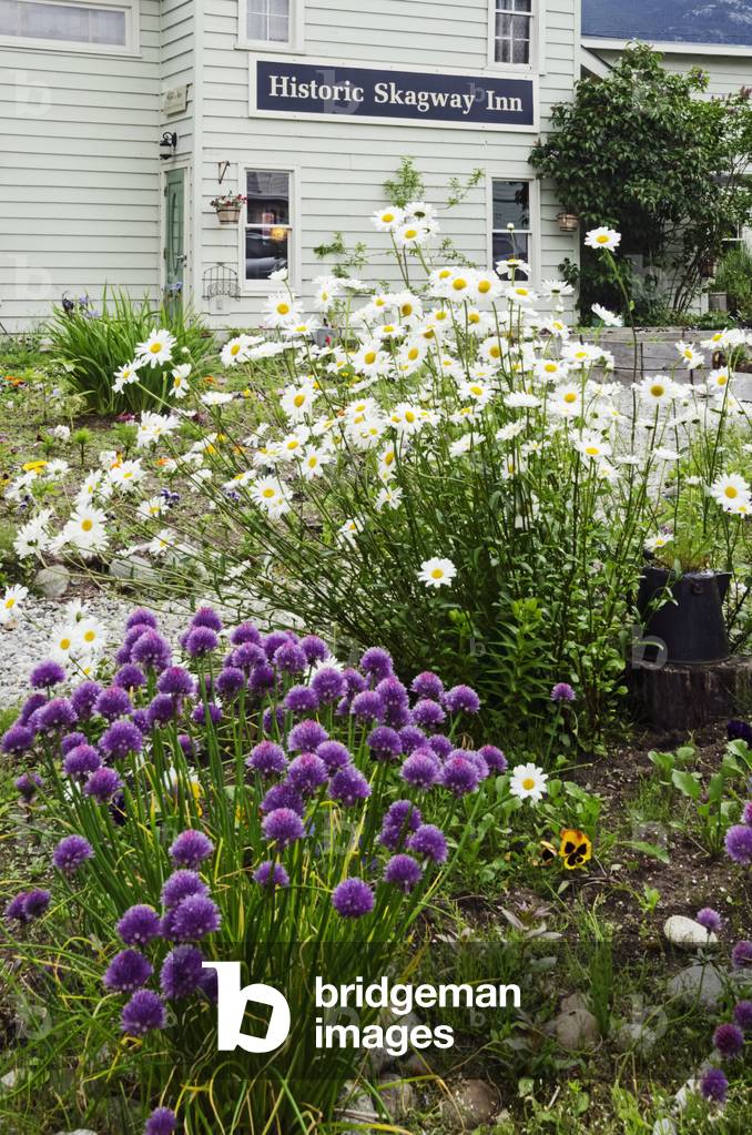 Garden behind Historic Skagway Inn in historic district of Klondike Goldrush National Historical Park, Skagway Alaska (photo)