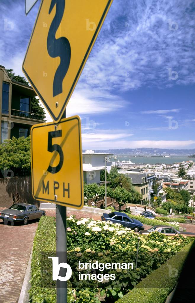 View From Top of Lombard Street with Cars Descending, San Francisco, USA (photo)