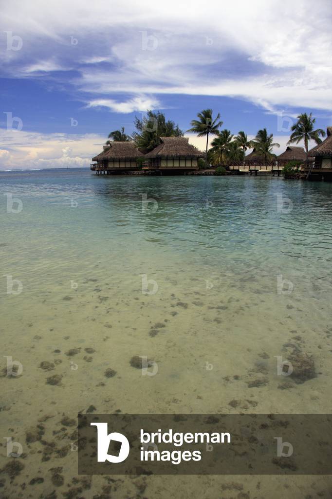 French Polynesia, Society Islands, View Through Moorea's Crystal Clear Waters, Moorea (photo)