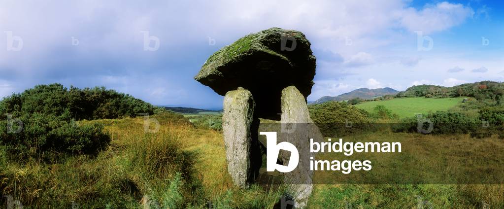 Tomb On A Landscape, Gortnavern Dolmen, County Donegal, Republic Of Ireland (photo)