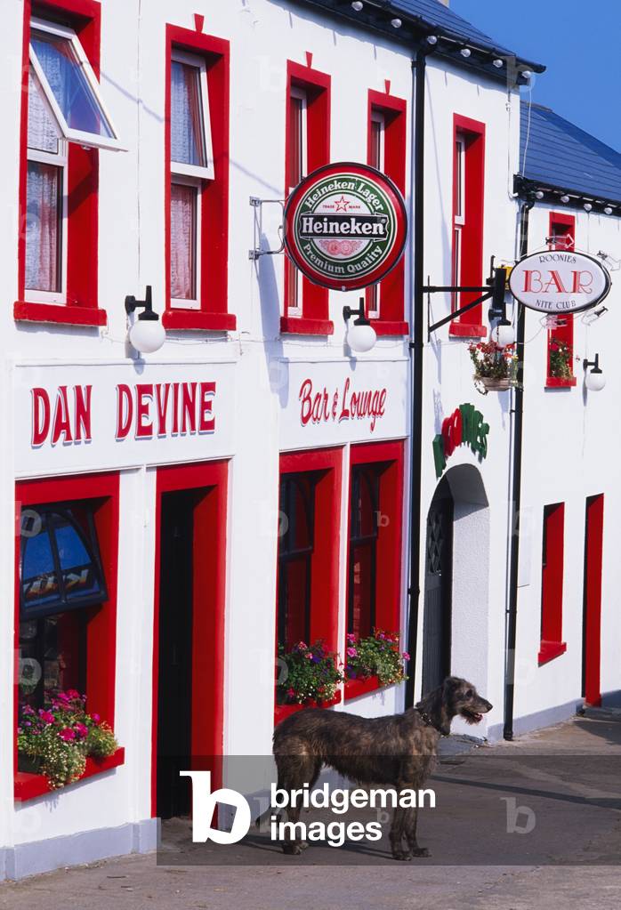 Dan Devine, Dunfanaghy, Co Donegal, Ireland; Dog Standing Outside Traditional Irish Pub (photo)