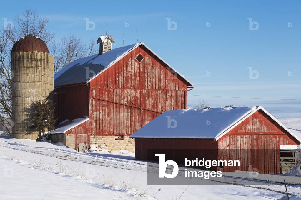 Red farm buildings after a fresh snowfall on a sunny day near Elkader in Northeast Iowa, Winter (photo)