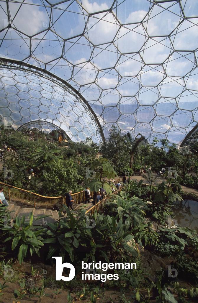 Eden Project, Cornwall, UK (photo)